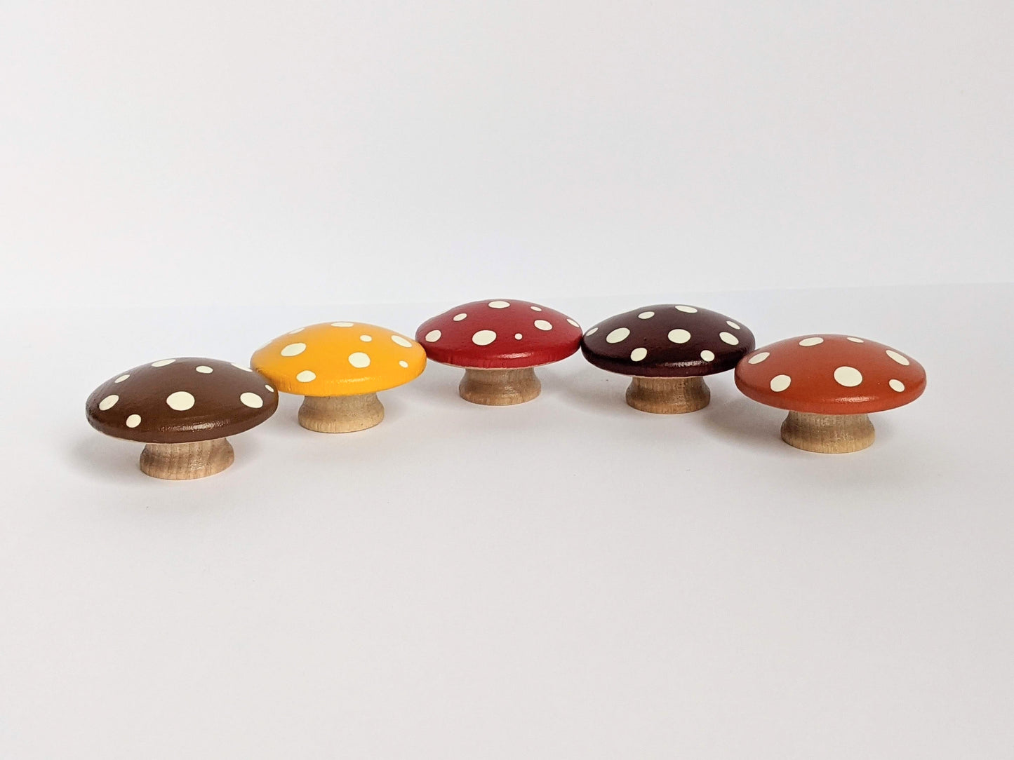 Fall Mushrooms